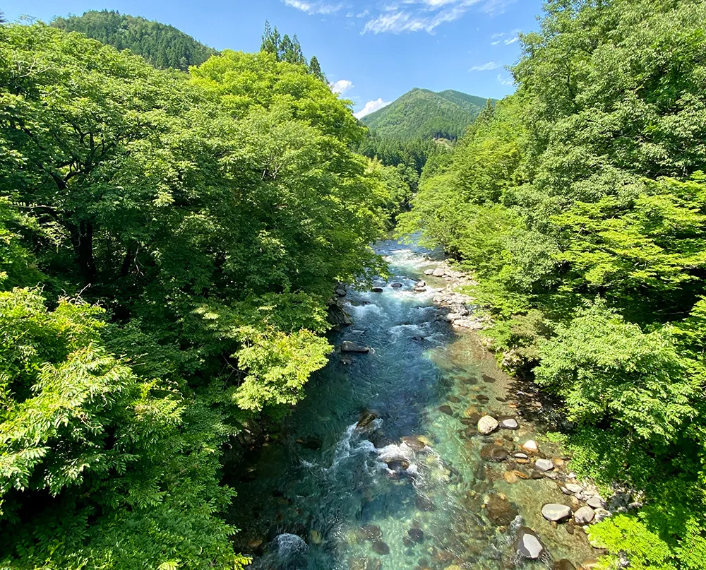 明宝について