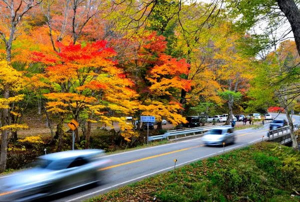 せせらぎ街道の紅葉ドライブ