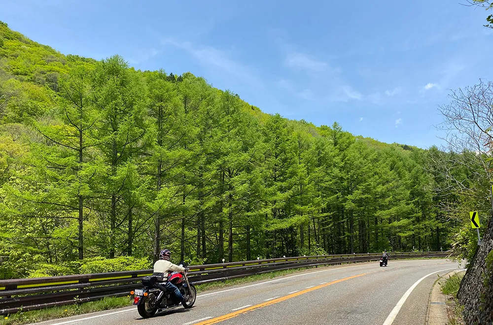 せせらぎ街道の新緑ドライブ